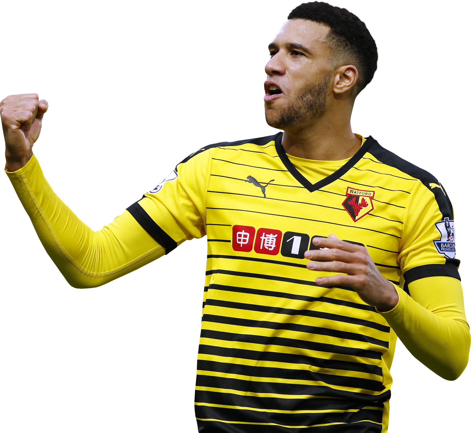 Etienne Capoue football render - FootyRenders